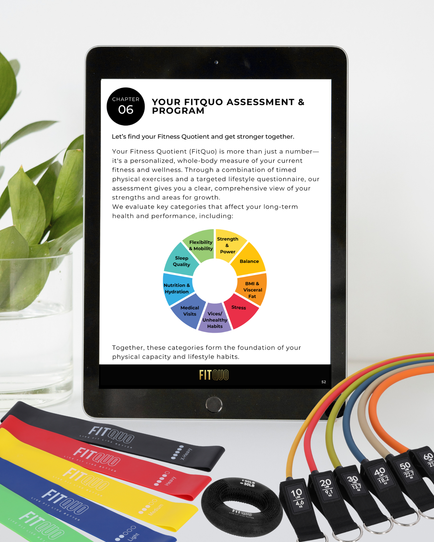 All-in-One Resistance Strength Training Program with 1:1 Coaching (Virtual)